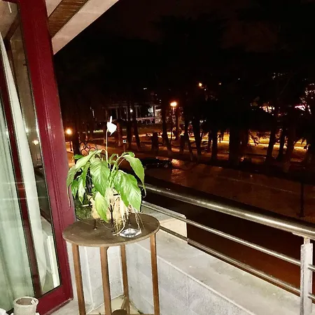 Проживание в семье Garden *